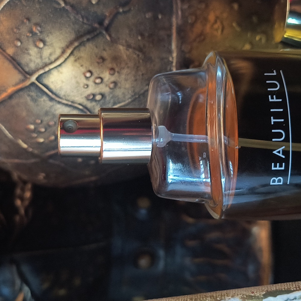 Beautiful Estee Lauder View 4